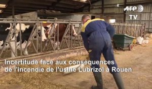 Incendie Lubrizol: dans l'Aisne, l'inquiétude d'un éleveur touché par la pollution
