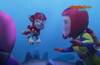 Paw Patrol : la Pat'Patrouille | Alerte au volcan ! | NICKELODEON JUNIOR