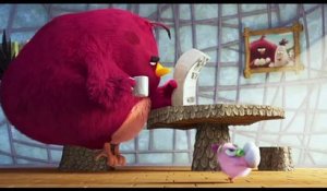 Angry Birds _ Copains comme Cochons - Extrait _Hatchling Eggs_ - VF - Full HD