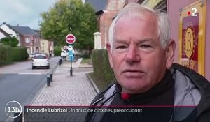 Incendie de l'usine Lubrizol à Rouen : des taux de dioxines supérieurs à la normale