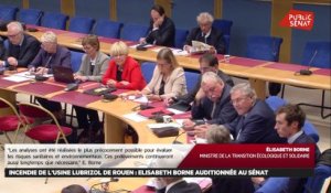 Lubrisol : audition d'Elisabeth Borne - Les matins du Sénat (09/10/2019)