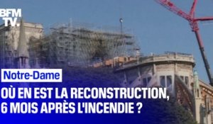 6 mois après l'incendie de Notre-Dame où en est la restauration?