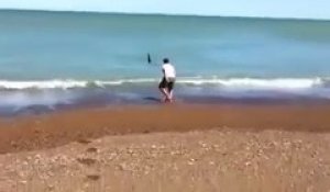 Il évite de justesse la morsure d'une orque en bord de plage