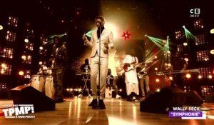 Wally Seck - Symphonie (Live @TPMP)