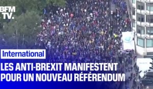 À Londres, des milliers de manifestants anti-Brexit défilent pour un nouveau référendum