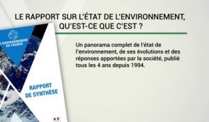 Le rapport sur l'état de l'environnement en France 2019