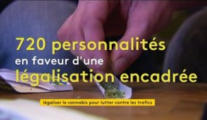 Marseille : 720 personnalités signent une pétition pour une légalisation encadrée du cannabis
