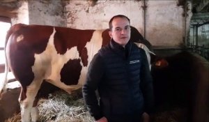 Morteau : l'élevage traditionnel de Francis Remonnay au Bas du Fartou