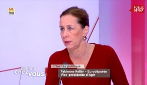 L'eurodéputée Fabienne Keller sur le Brexit