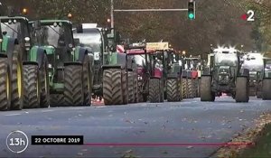 Allemagne : mobilisation nationale des agriculteurs