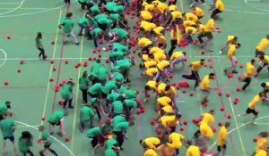 Record du monde de balle aux prisonniers : 1200 joueurs