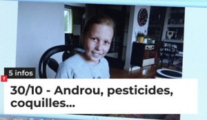 Androu, pesticides, coquilles... Cinq infos bretonnes du 30 octobre