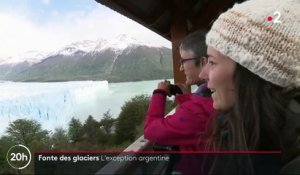 Fonte des glaciers: le Perito Moreno, exception argentine