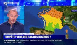 Tempête: le Nord de la France très impacté - 09/02