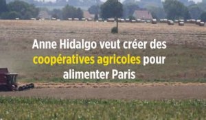 Anne Hidalgo veut créer des coopératives agricoles pour alimenter Paris