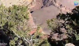 Une femme manque de tomber dans le Grand Canyon