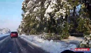 Drôme : des centaines d’arbres tombés au bord des routes