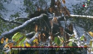 Neige : un automobiliste tué par une chute d'arbre en Isère