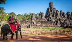 Cambodge : les balades à dos d'éléphants interdites à Angkor dès début 2020