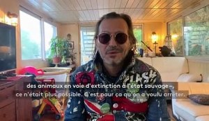 "J’ai essayé de briser une omerta" : l'ex-dompteur André-Joseph Bouglione milite contre les animaux sauvages dans les cirques