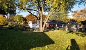 Un gros fail pendant la découpe d'une branche d'arbre