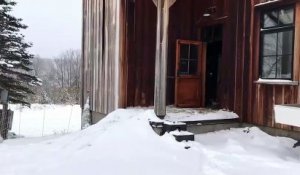 Des canards découvrent la neige (Vermont)