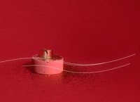 Murat Paris : nos coups de cœur bijoux pour l'automne-hiver 2019-2020