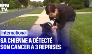 À 3 reprises, cette chienne a découvert que sa propriétaire avait un cancer