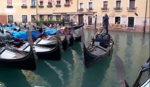 Le théâtre de la Fenice à Venise sauvé des eaux