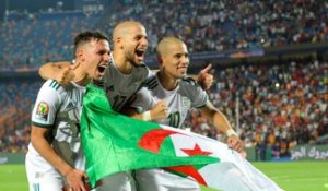 Algérie : l'année 2019 des Fennecs en chiffres