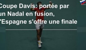Coupe Davis: portée par un Nadal en fusion, l&#39;Espagne s&#39;offre une finale