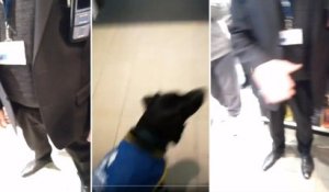 France : un chien d’assistance et son formateur recalés à l’entrée de la Fnac