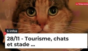 Tourisme, Chats et stade... Cinq infos bretonnes du 28 novembre