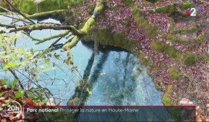 Haute-Marne : un parc national pour protéger la nature