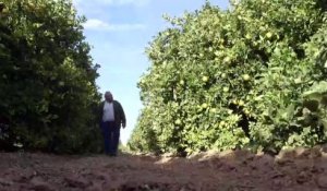 En Espagne, qui accueille la COP25, l'asphyxie de la Mer mineure