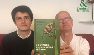 Interview 1 de Denis Richard et Pierre-Olivier Maquart : Ces drôles de coléoptères