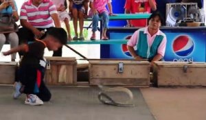 Cet enfant joue avec un cobra... Charmeur de serpent très jeune