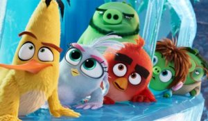 Les Angry Birds en 10 leçons - Top cinéma