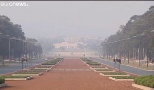 Australie : les incendies gagnent du terrain, Canberra sous un épais nuage toxique