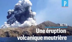 Nouvelle-Zélande : l'éruption du volcan fait cinq morts