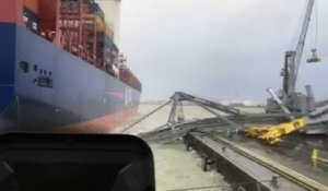 Un énorme navire percute une grue dans le port d'Anvers, celle-ci s'effondre