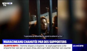 "Casse-toi !" La ministre des Sports Roxana Maracineanu prise à partie et exfiltrée d'un stade sous les insultes