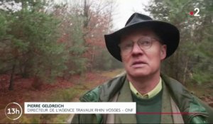 Inondations De Vaison La Romaine Les Lecons Tirees De La Catastrophe