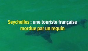 Seychelles : une touriste française mordue par un requin