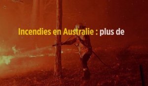 Incendies en Australie : plus de 480 millions d'animaux sont morts
