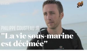 Le cri d'alarme du petit-fils du commandant Cousteau pour sauver les océans