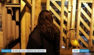 Bretagne : le zoo de Pont Scorff veut relâcher les animaux en milieu naturel