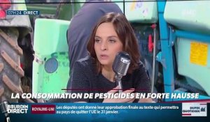 Dupin Quotidien : La consommation de pesticides en forte hausse - 10/01