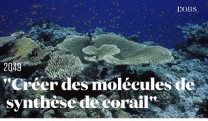 Une idée pour sauver les océans : créer des molécules de synthèse provenant des coraux, par Rachid Benchaouir