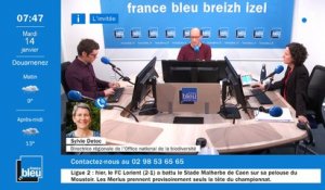 La matinale de France Bleu Breizh Izel du 14/01/2020